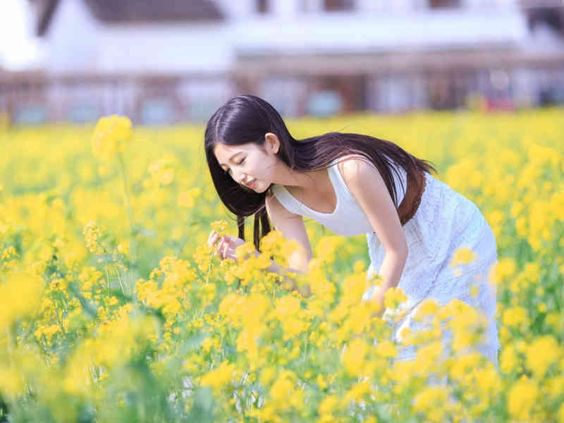 六小龄童打假高仿 到底是谁这么可恶？